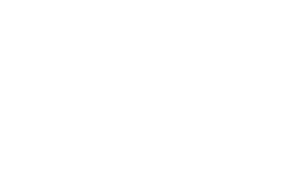 I turn ideas into actionable plans.